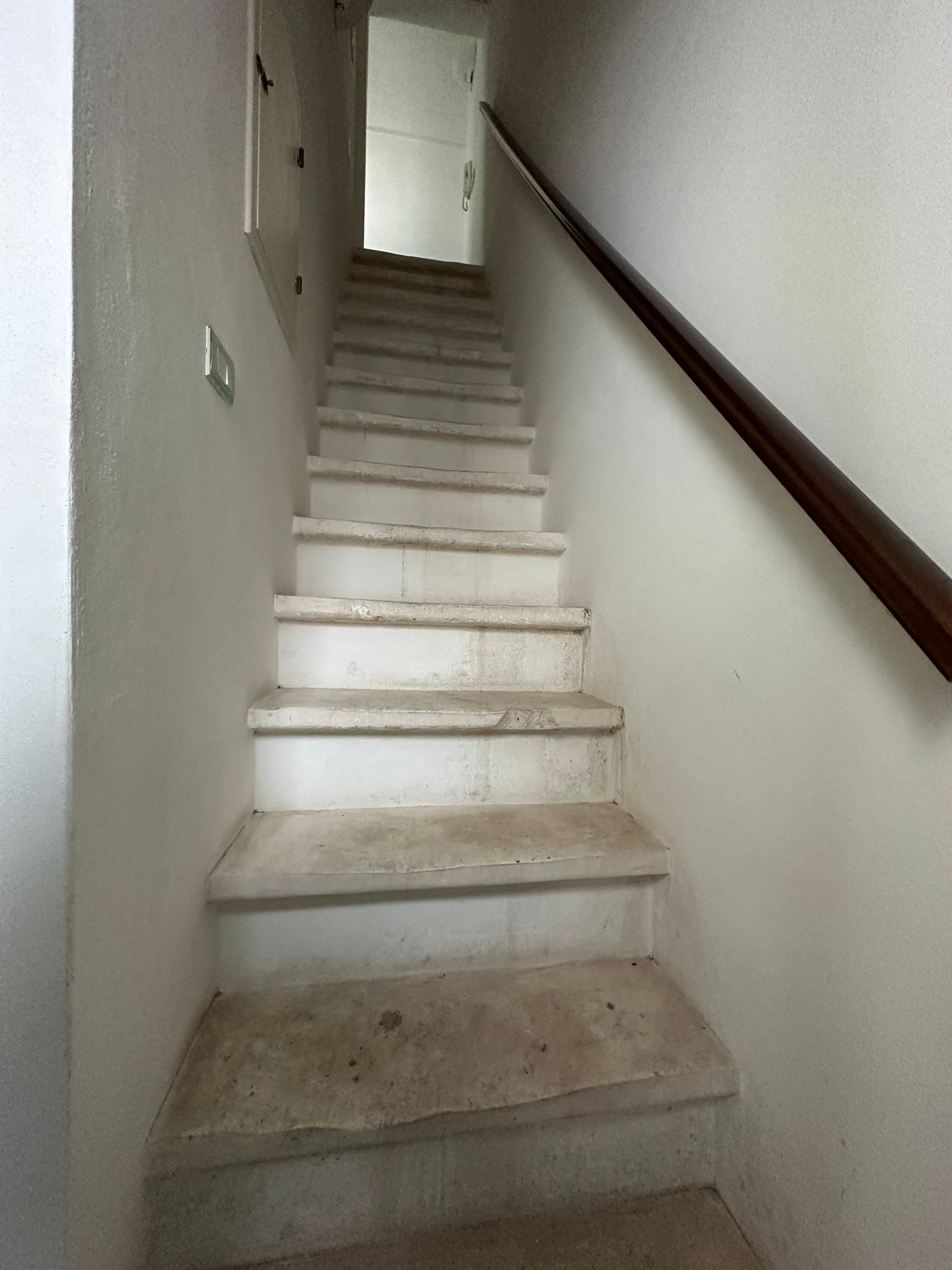 WhatsApp-Image-2023-02-06-at-12.08.08