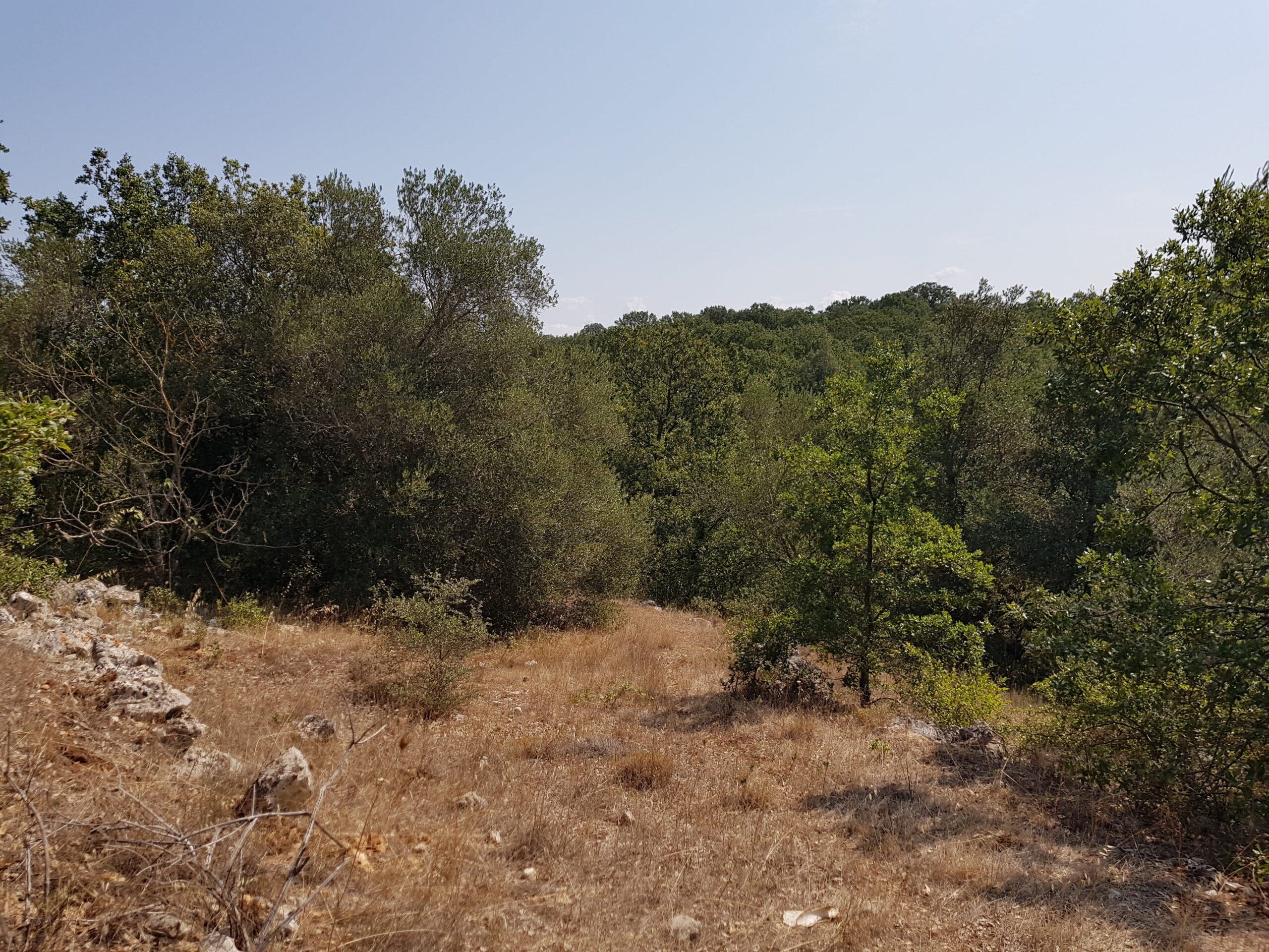 20220811_103940-min