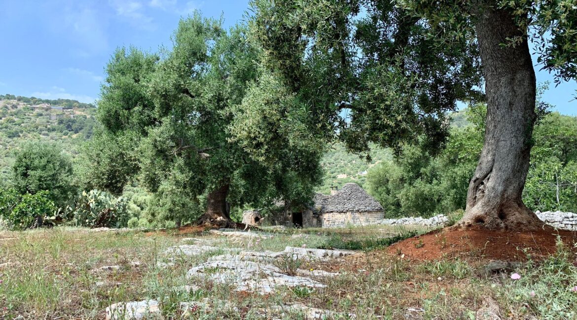 Trulli