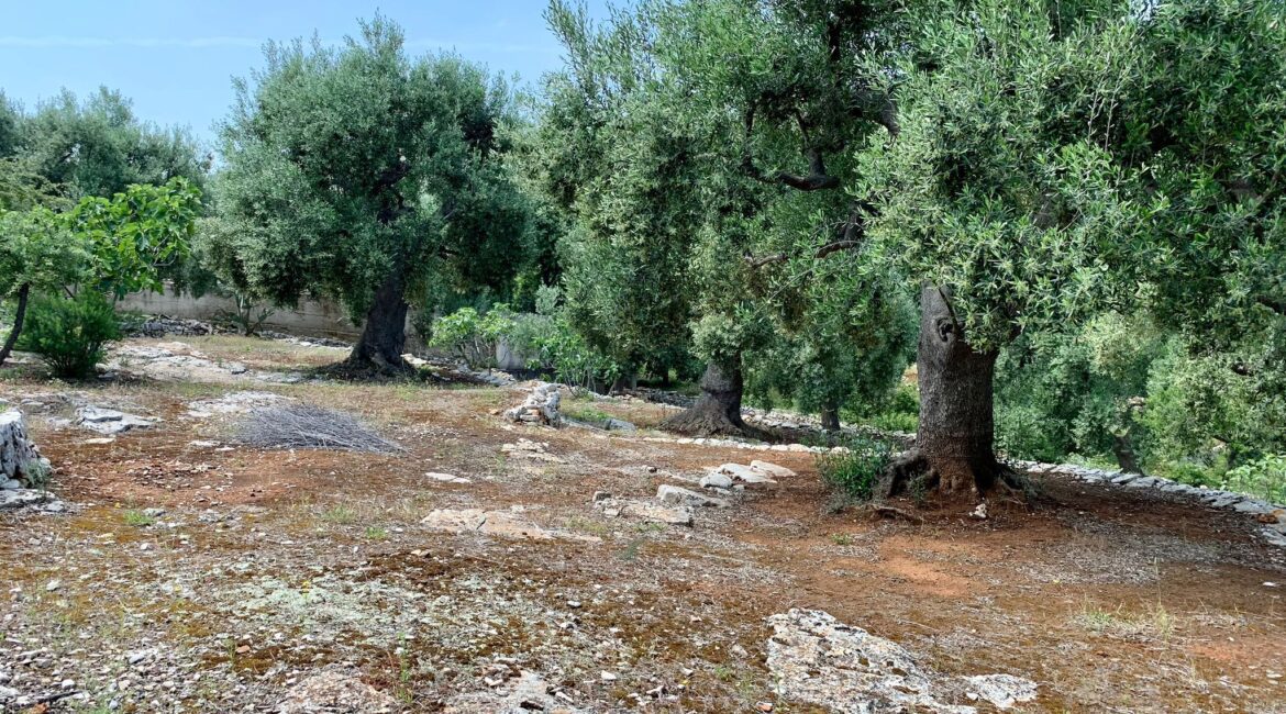 Trulli