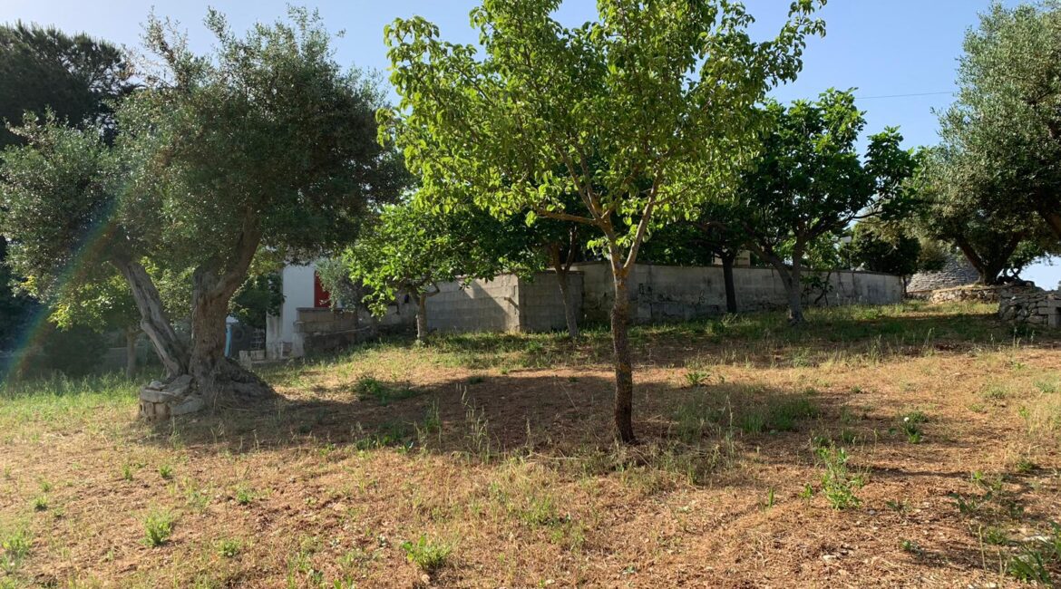 Casa indipendente