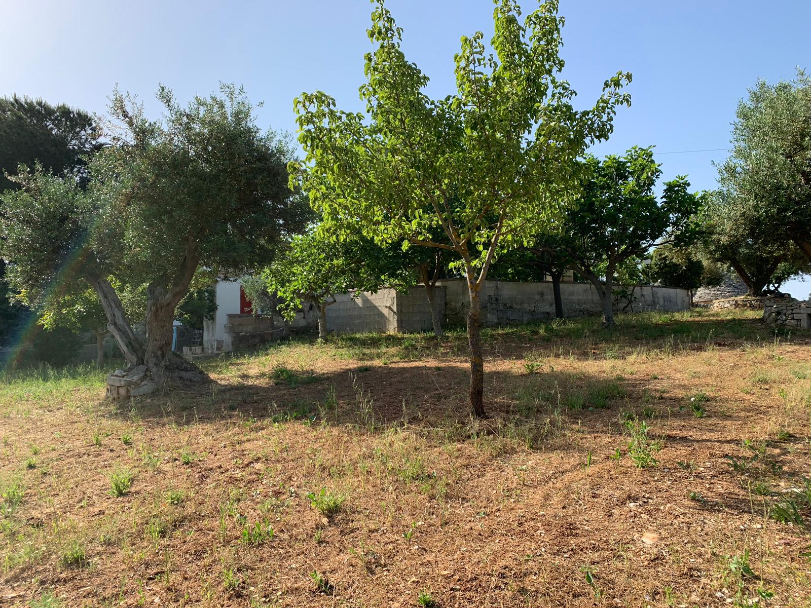 WhatsApp-Image-2019-06-13-at-17.29.41