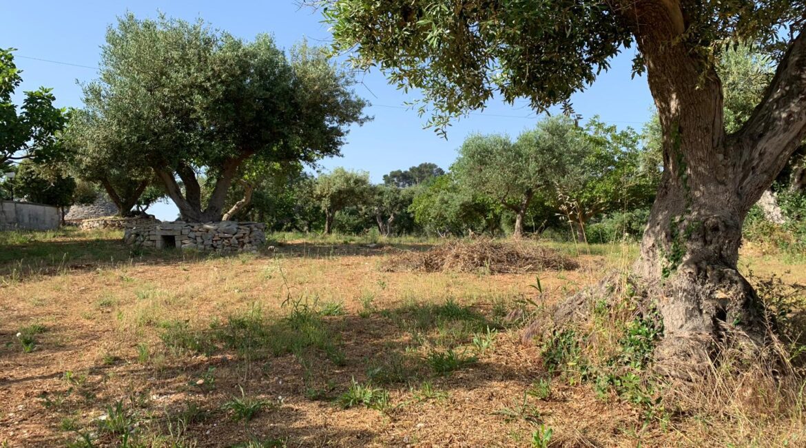 Casa indipendente