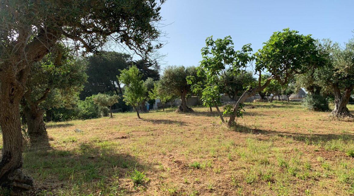 Casa indipendente