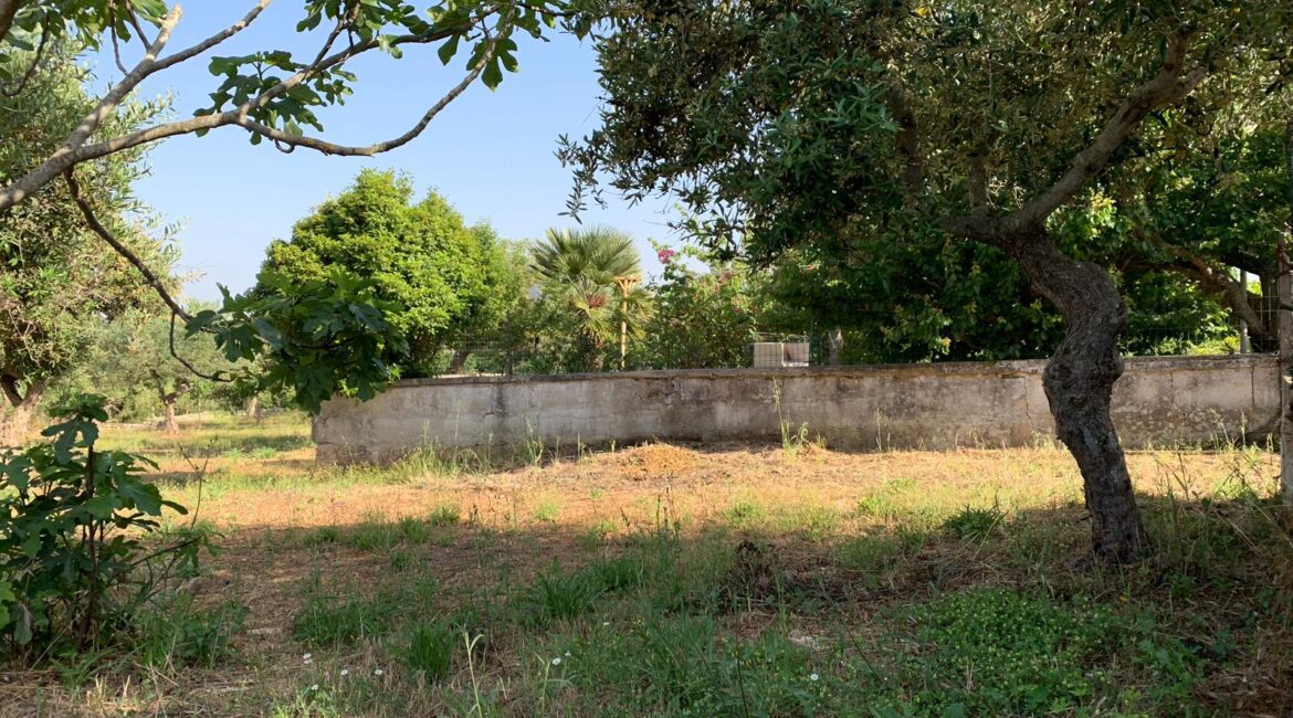 Casa indipendente