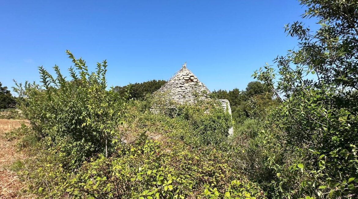Terreno