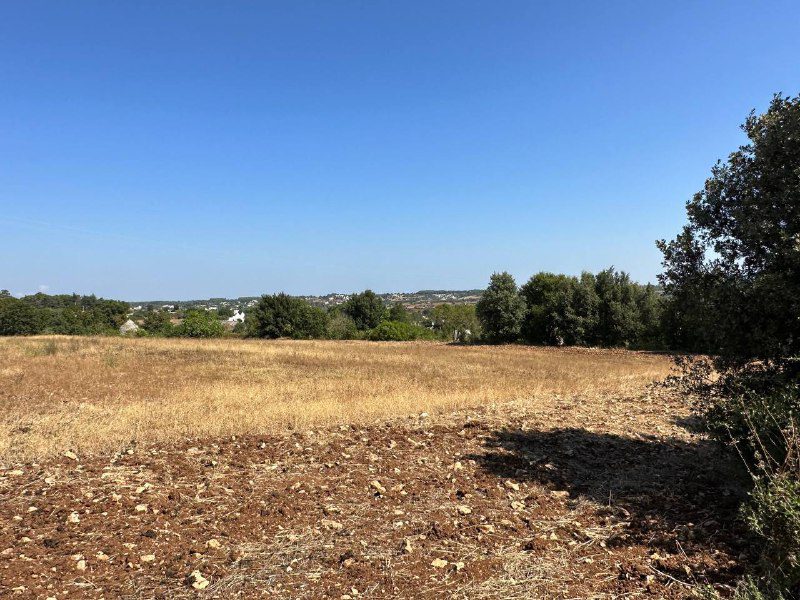 Terreno