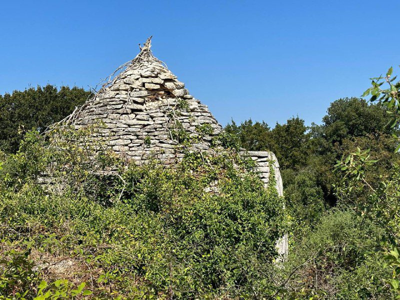 Terreno