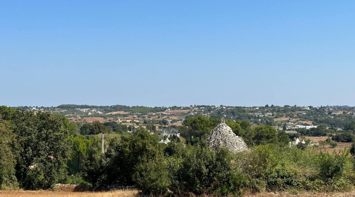 Terreno