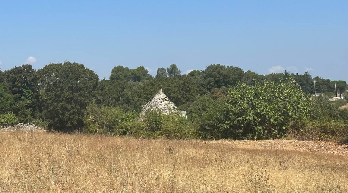 Terreno