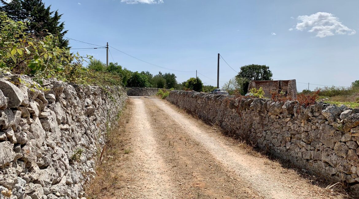 Terreno edificabile