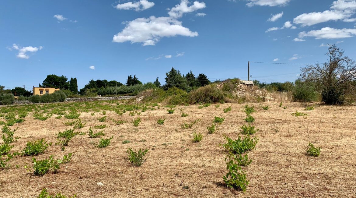 Terreno edificabile