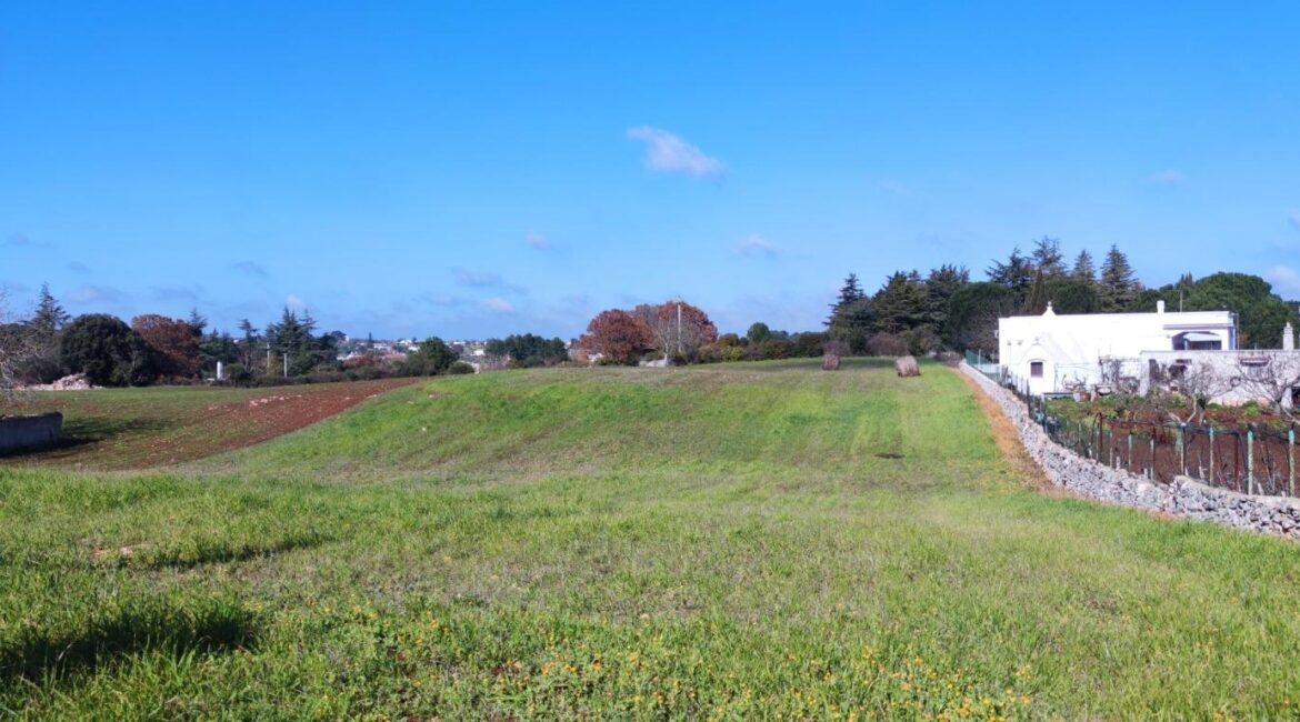 Terreno