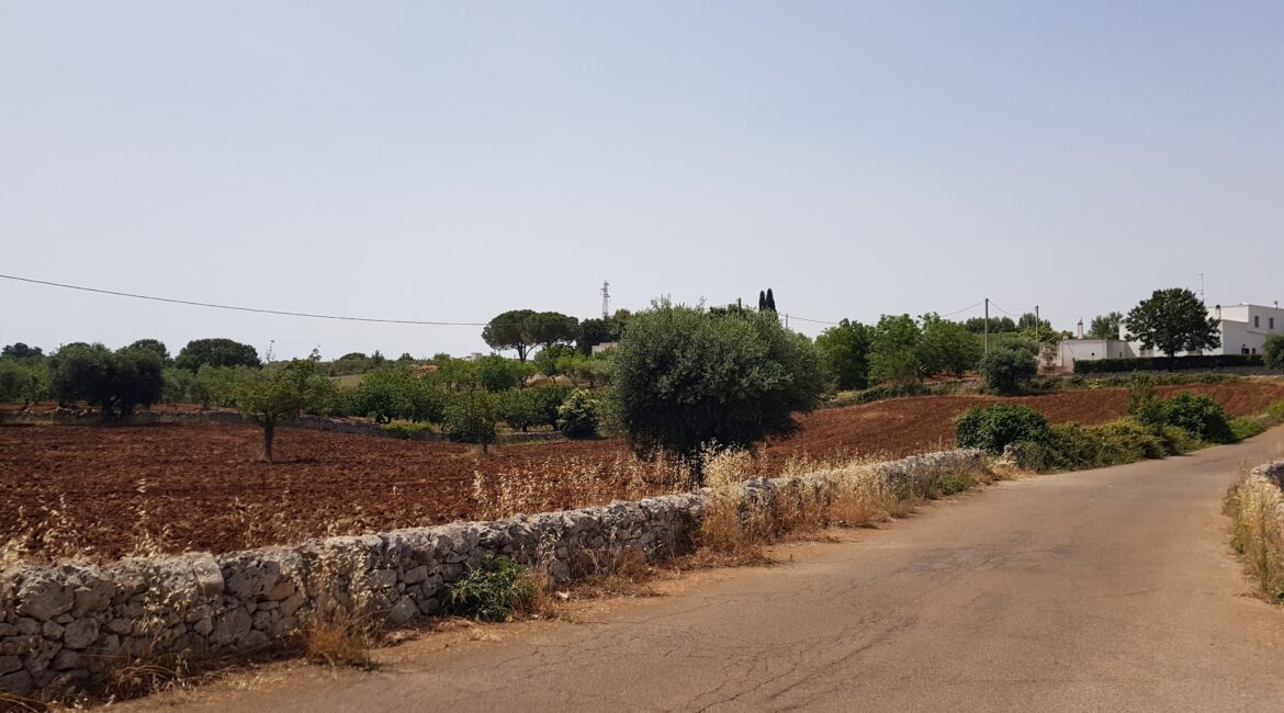 Terreno