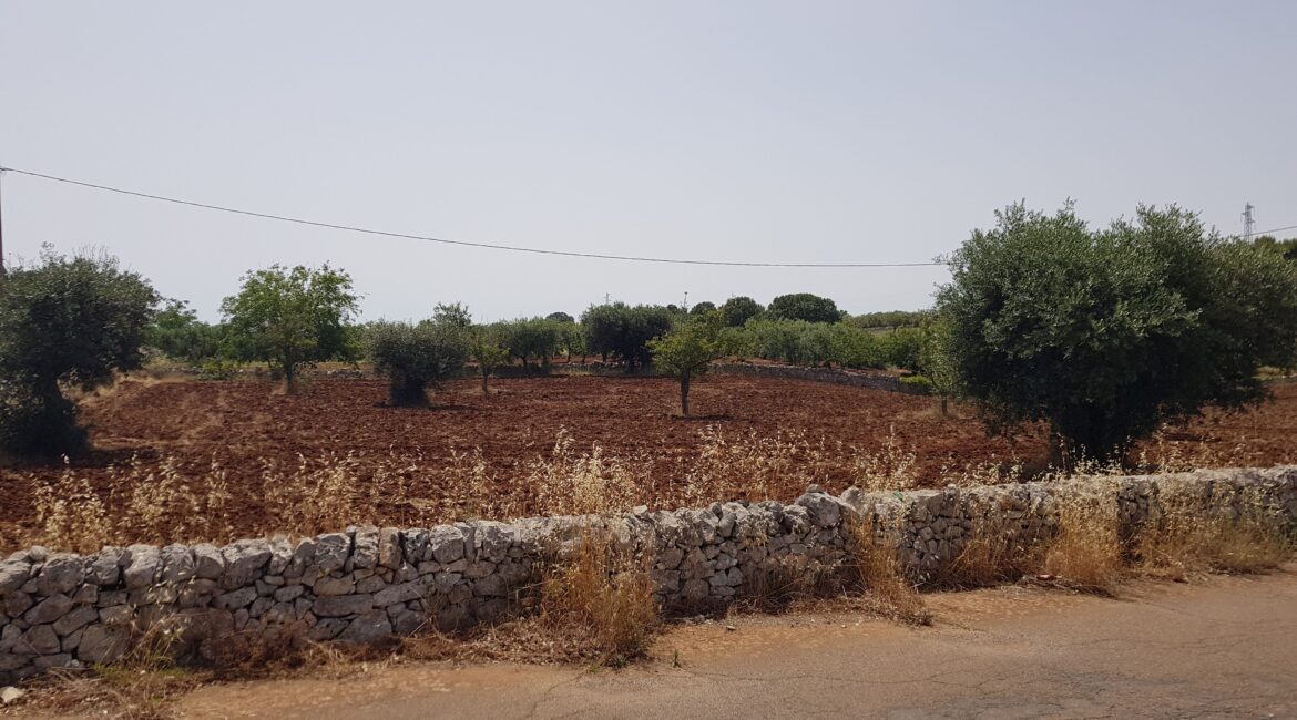 Terreno