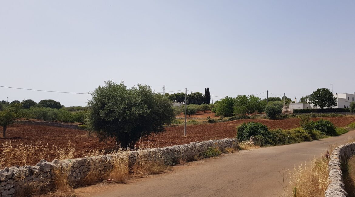 Terreno