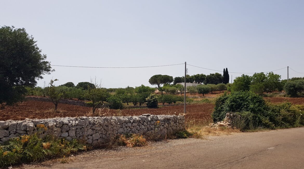 Terreno