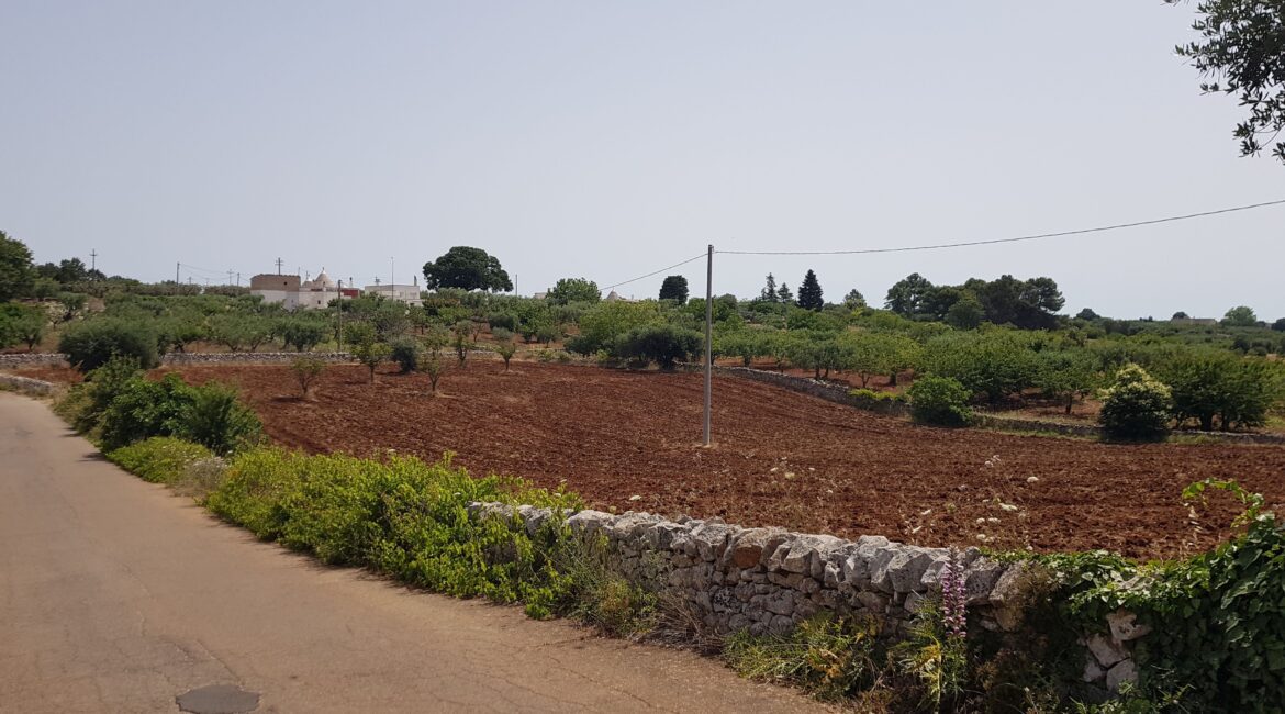 Terreno