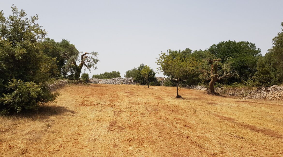Trullo e lamia