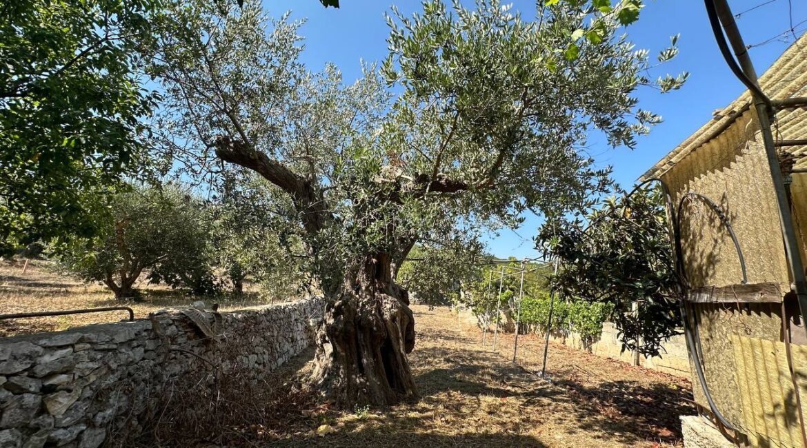 Casa indipendente e trulli