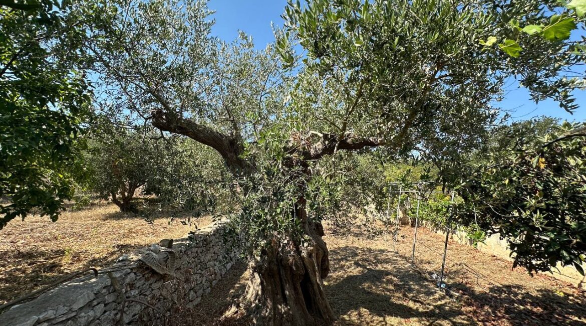 Casa indipendente e trulli
