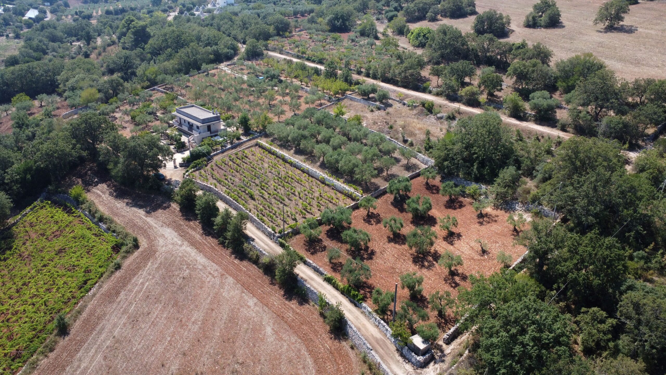 DJI_0733
