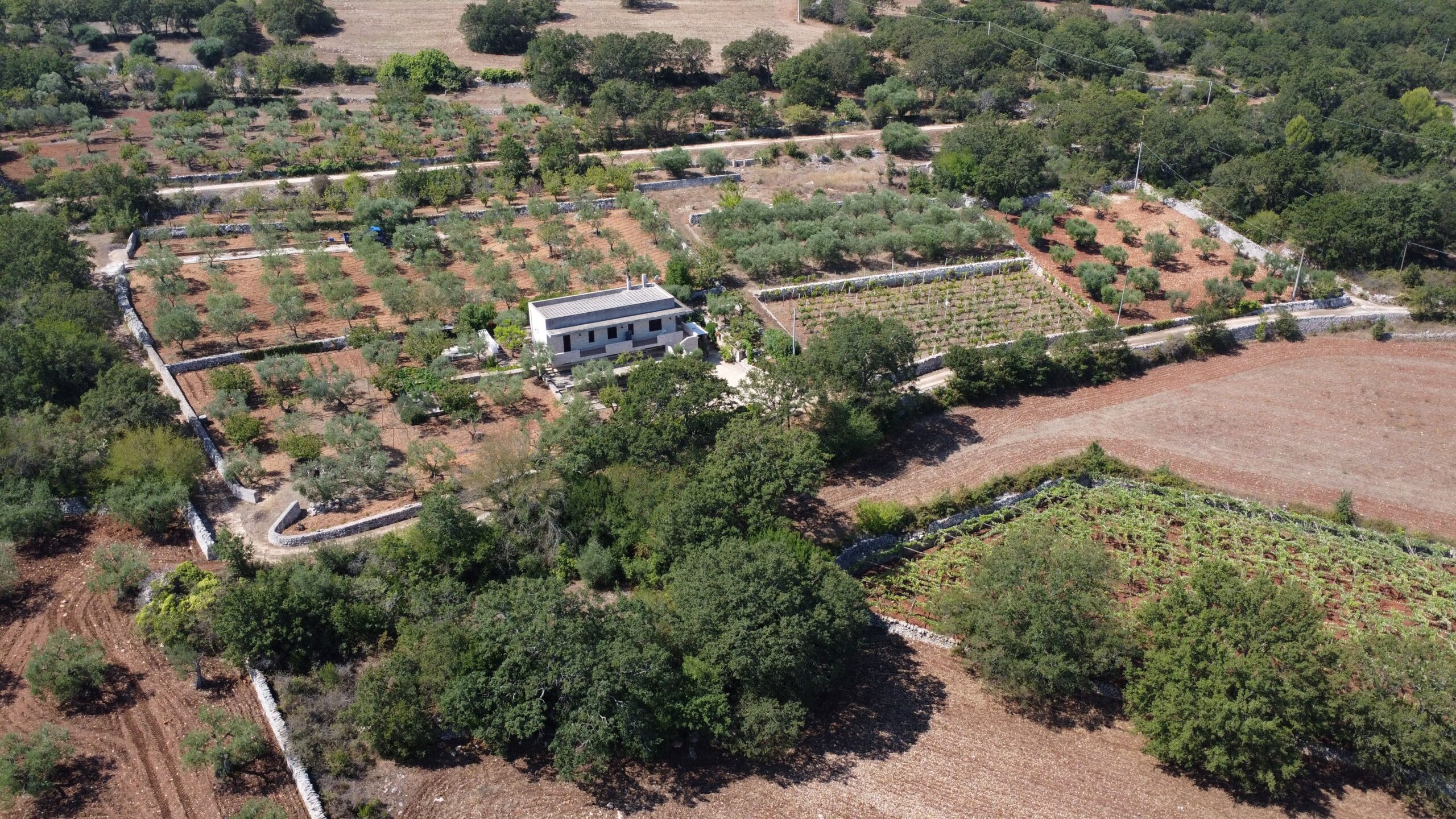 DJI_0735