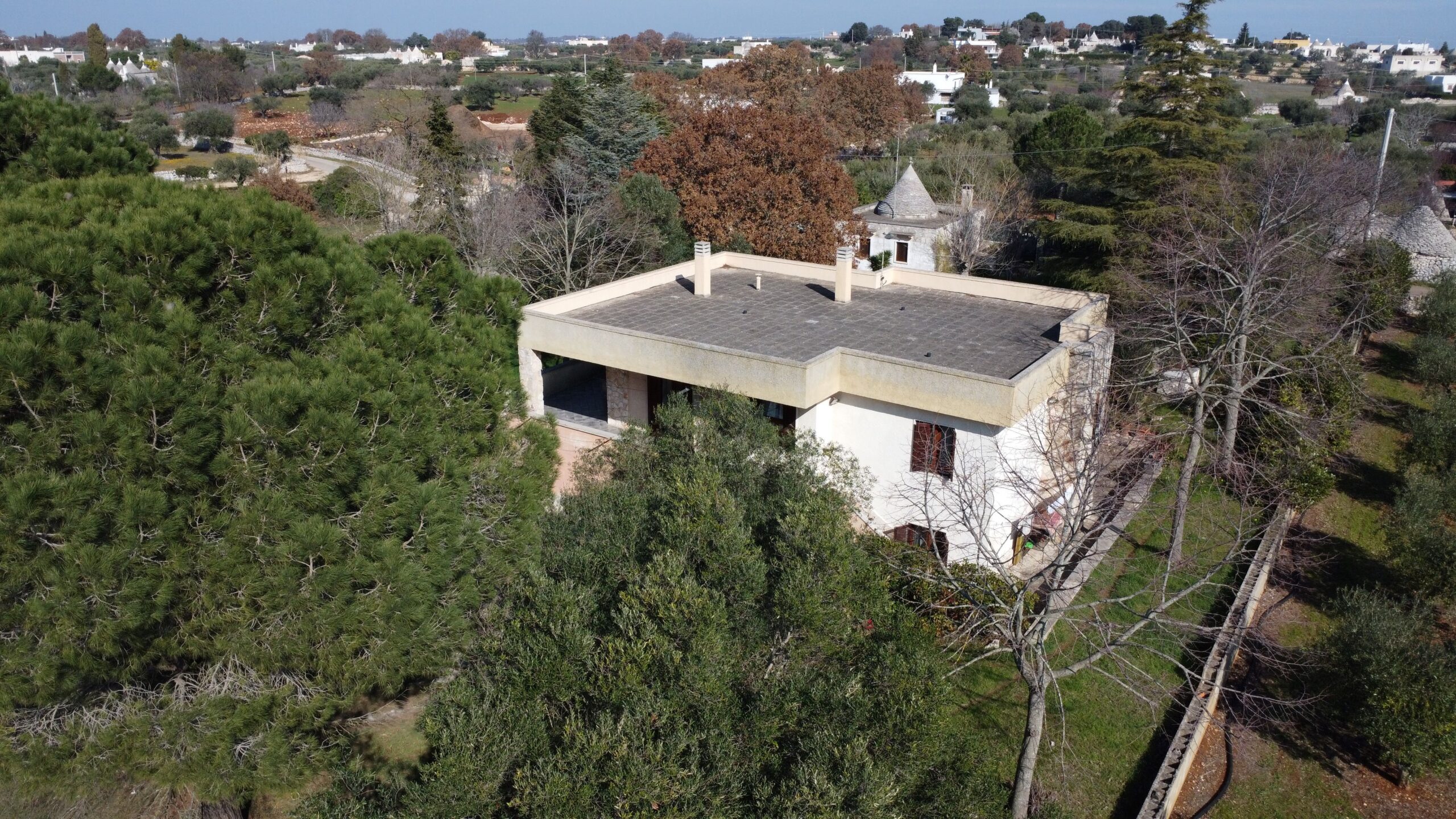 DJI_0352