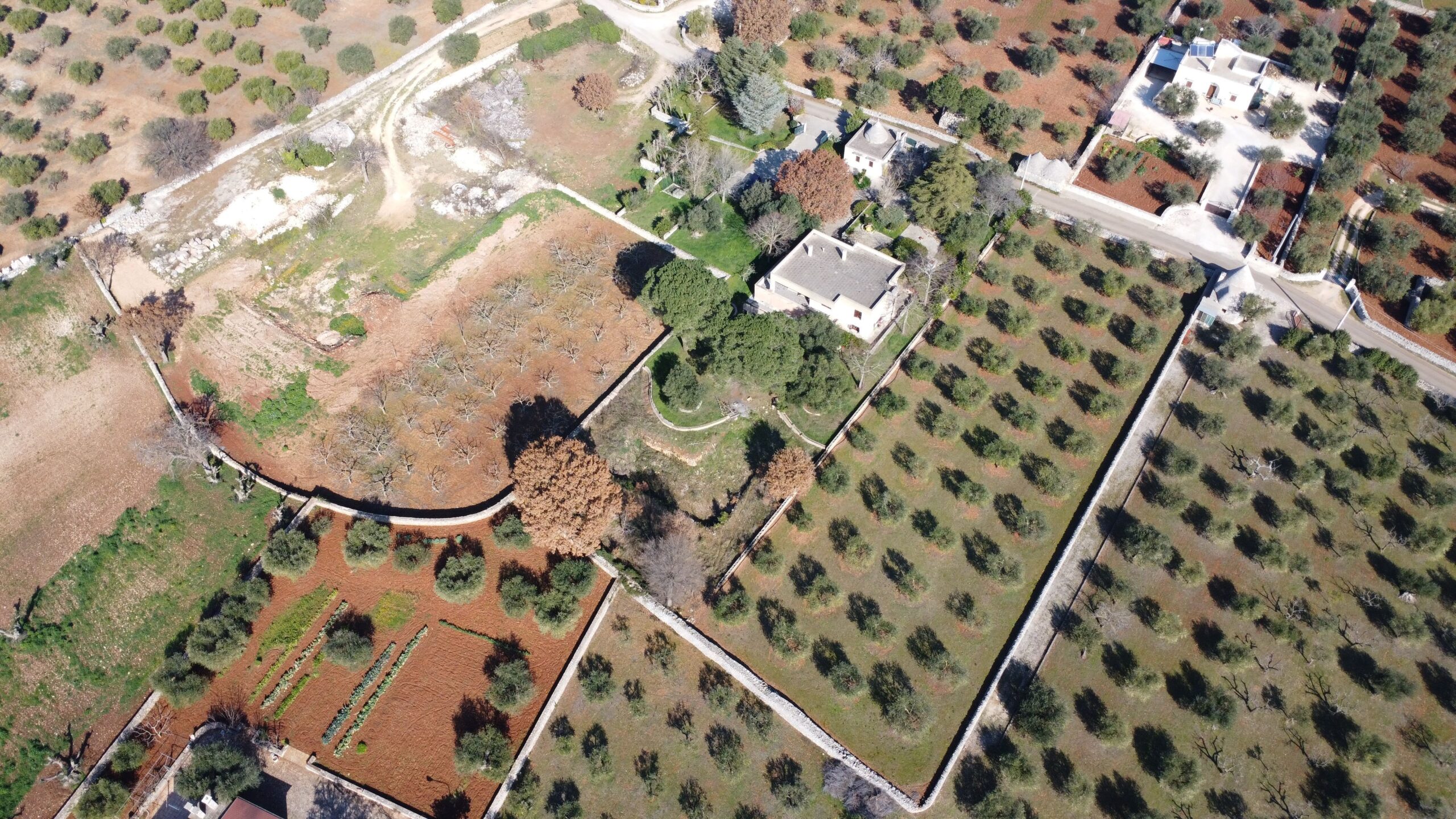 DJI_0357