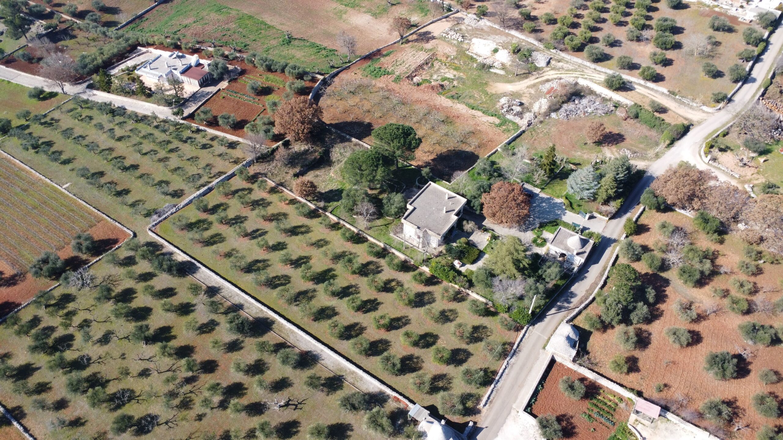 DJI_0360