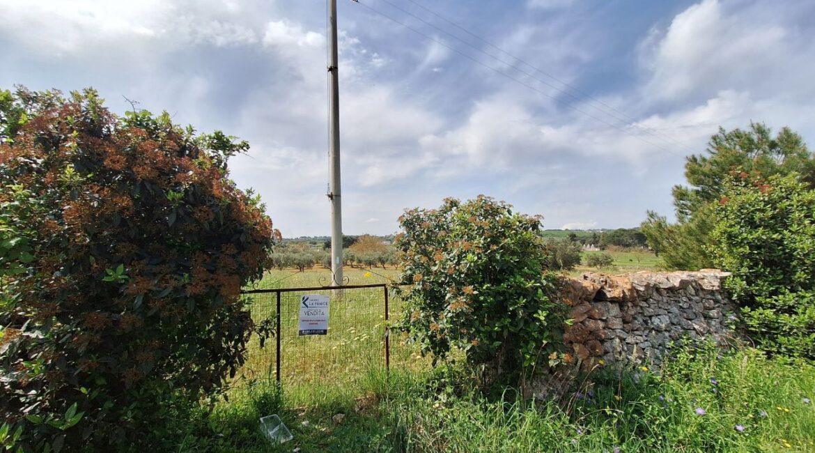 Terreno