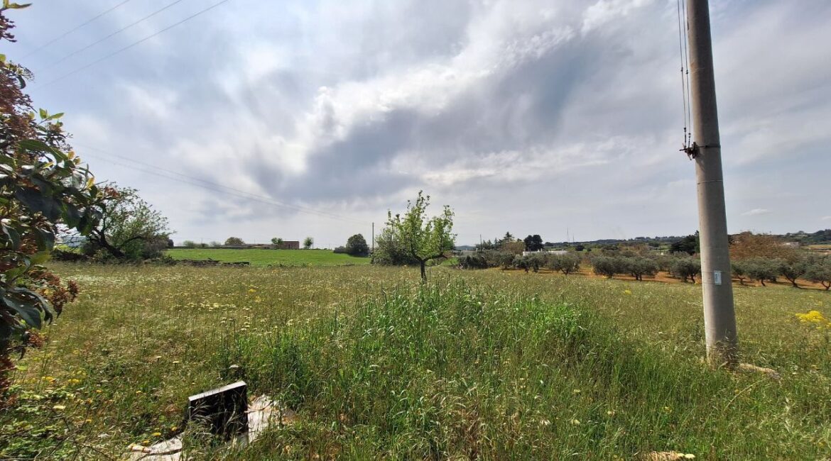 Terreno