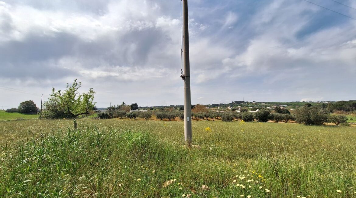Terreno