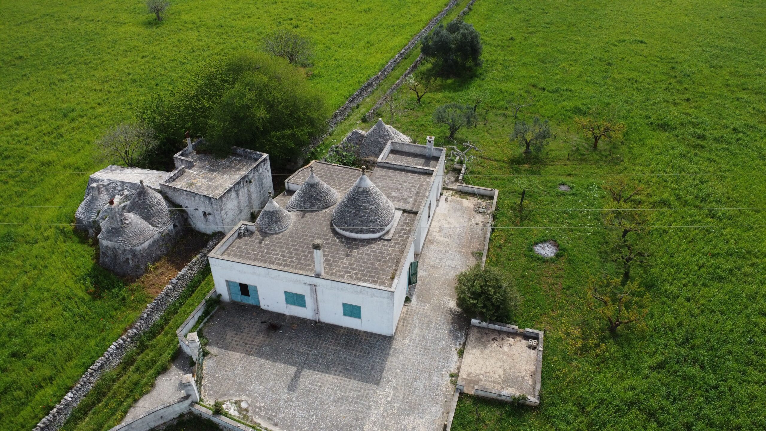 DJI_0541