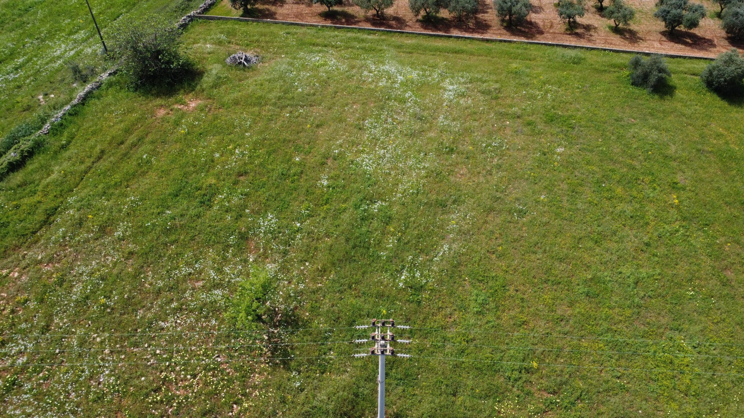 DJI_0555