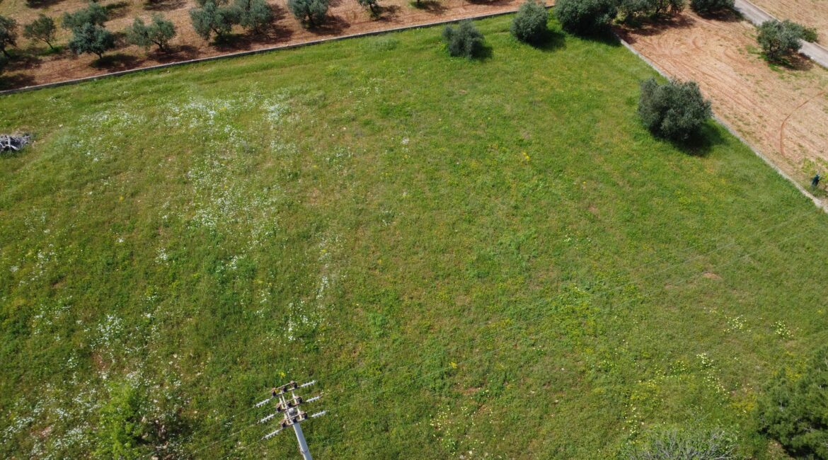 Terreno