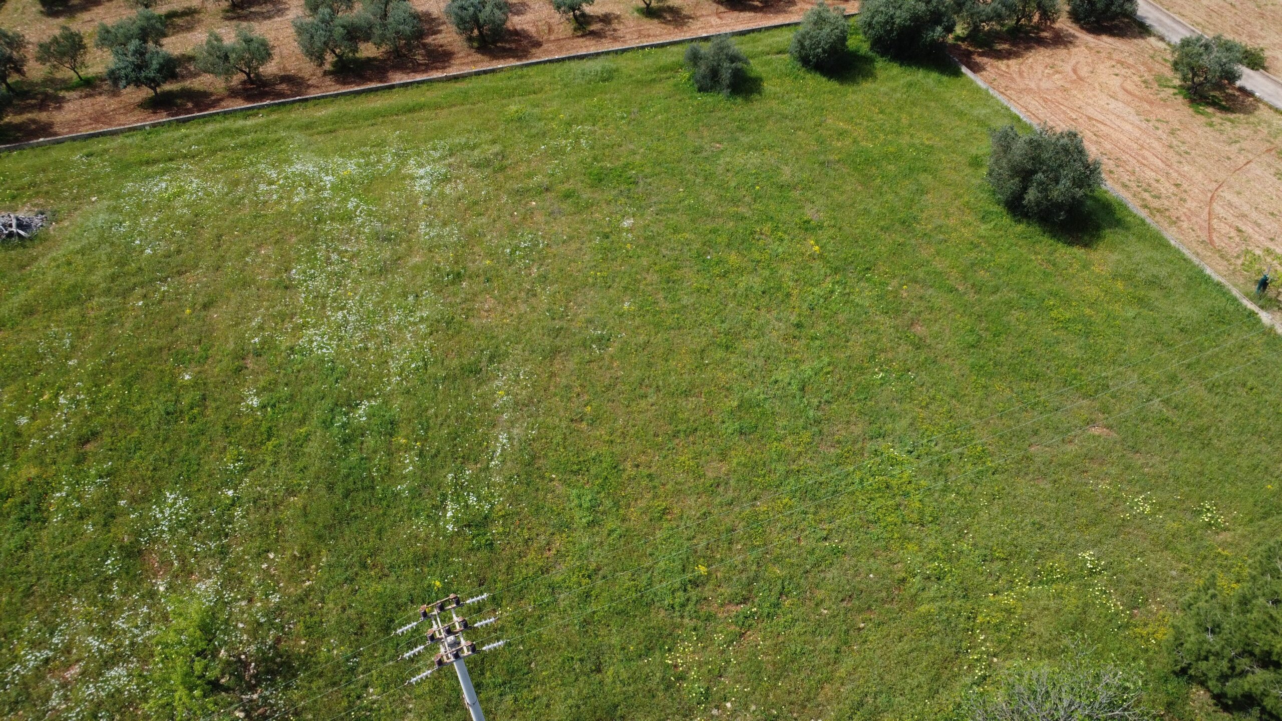 DJI_0556