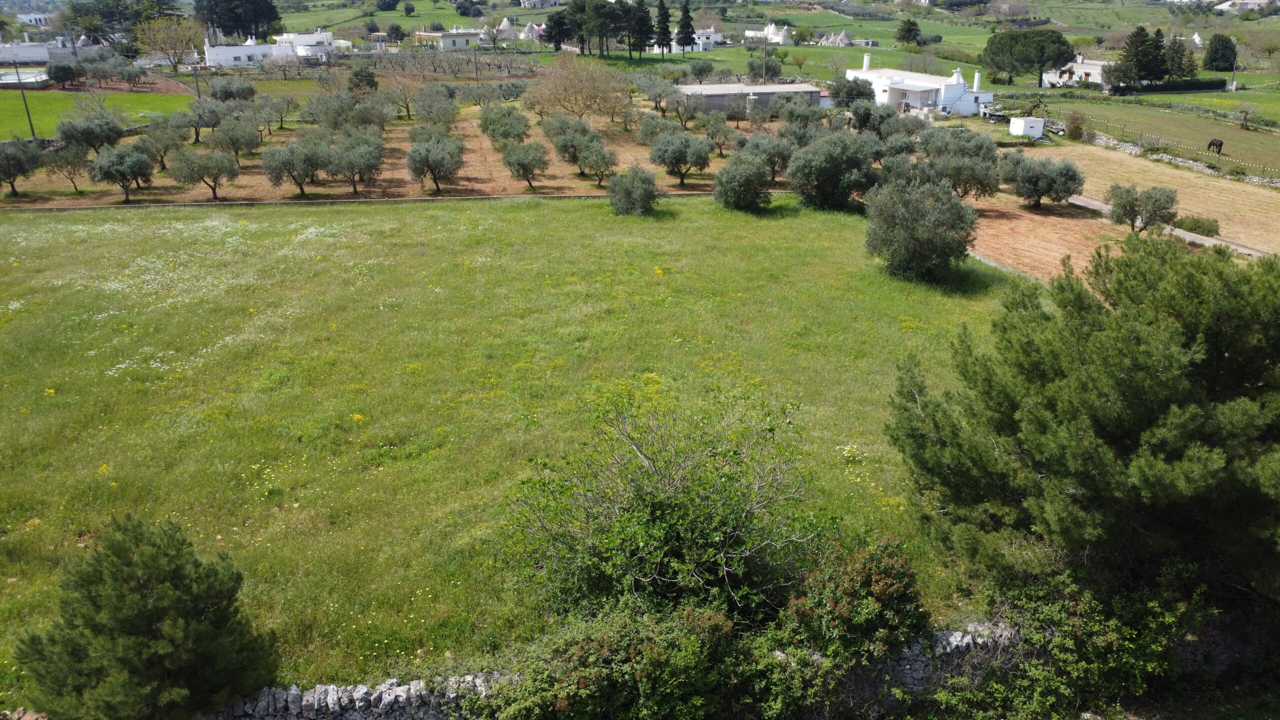 DJI_0558