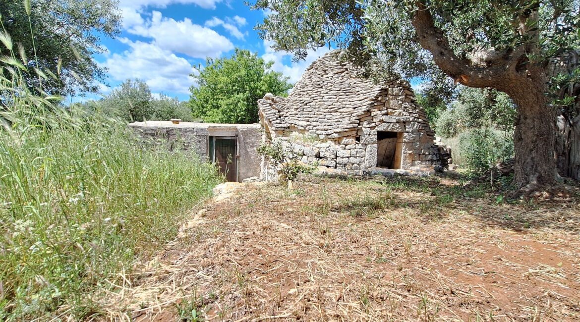 Trullo e lamia
