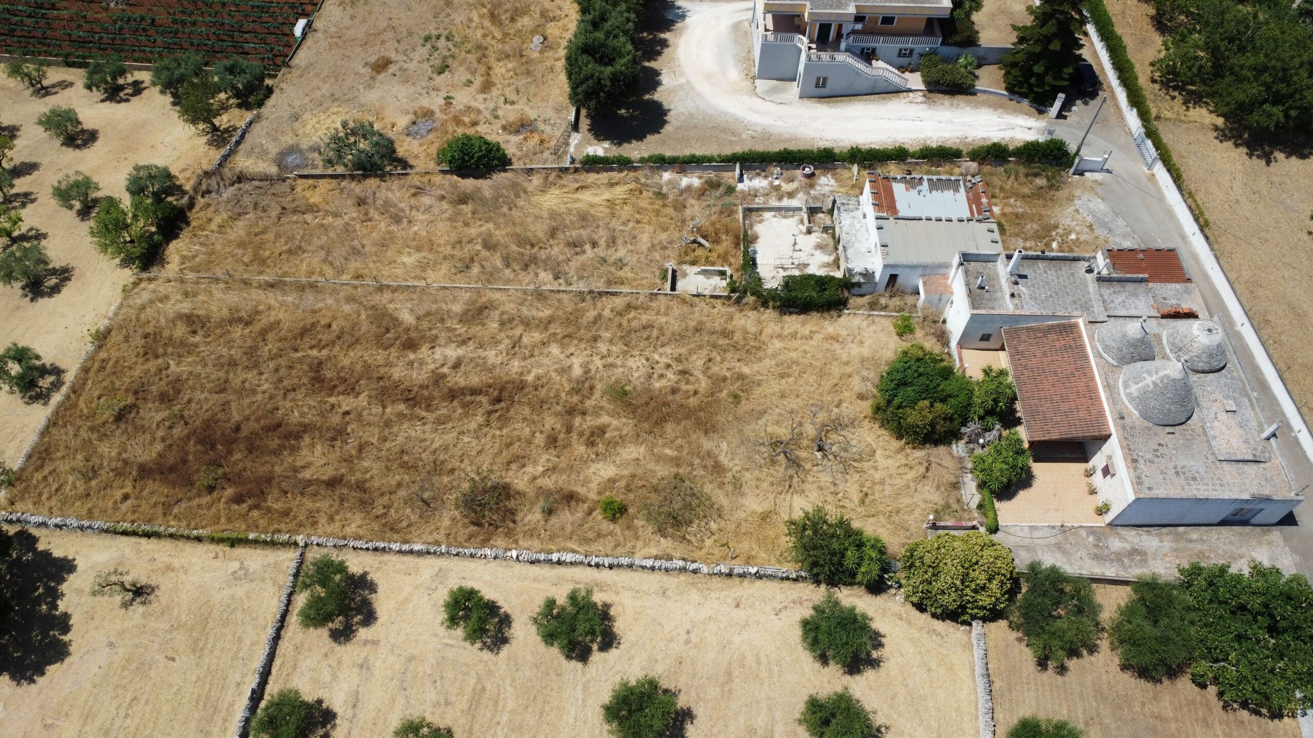 DJI_0303