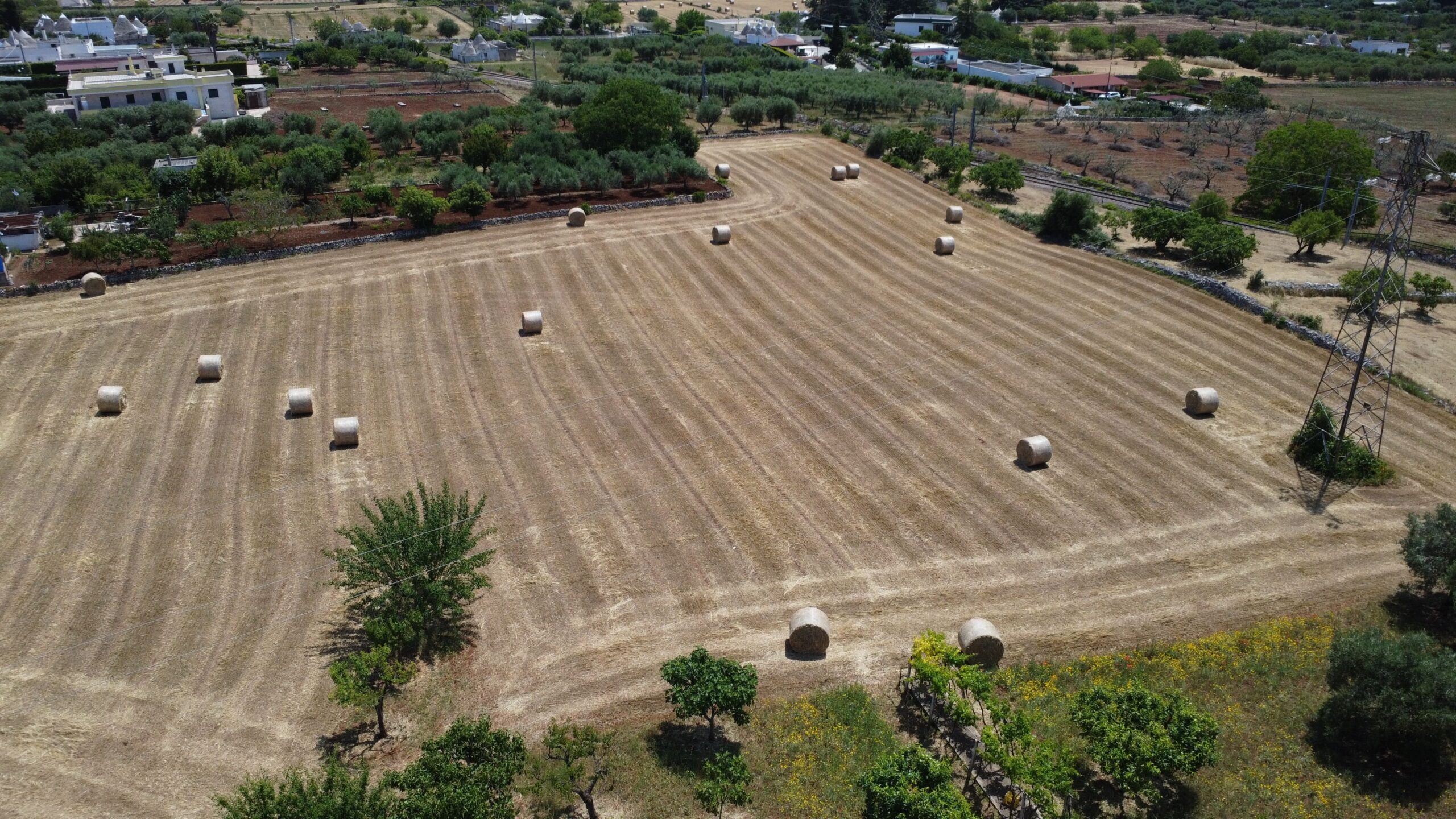 DJI_0699