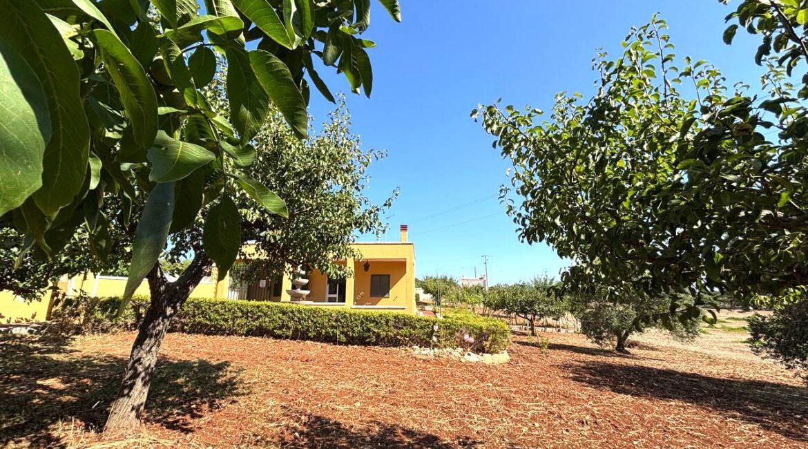Trullo