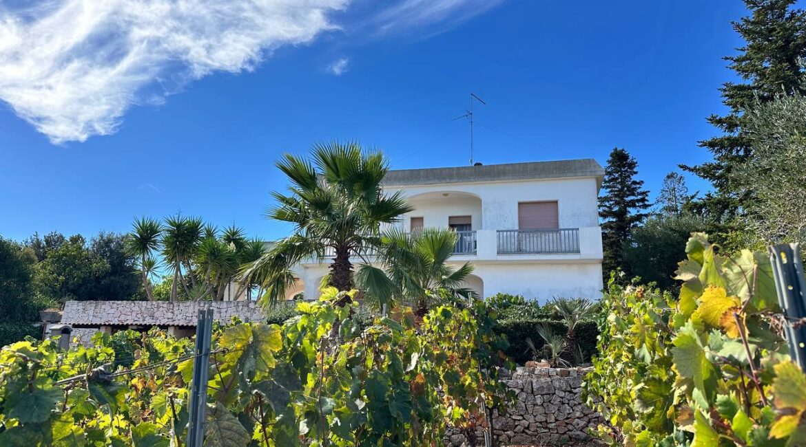 Villa