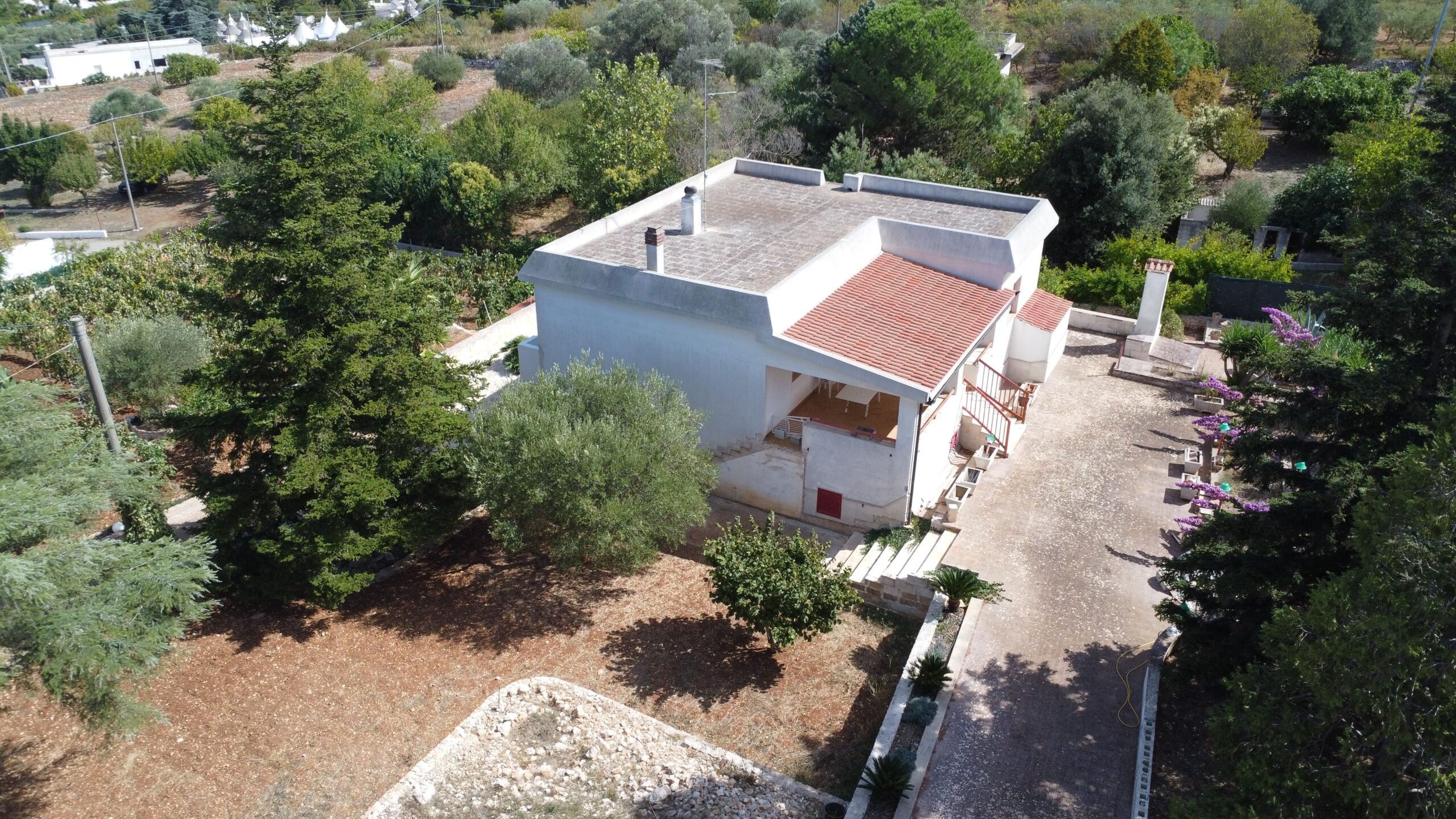 DJI_0933