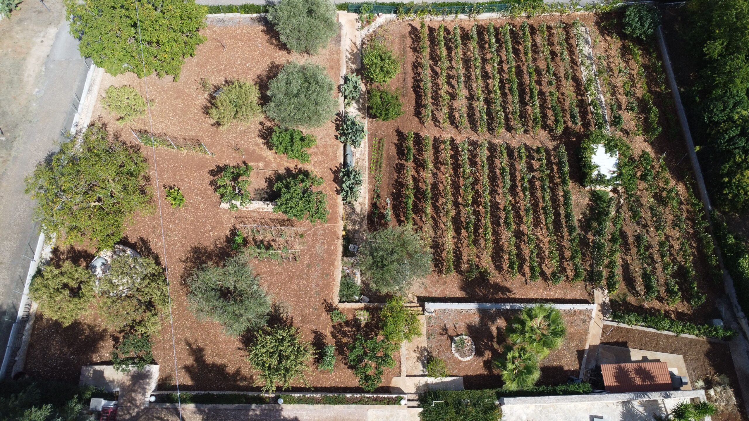 DJI_0935