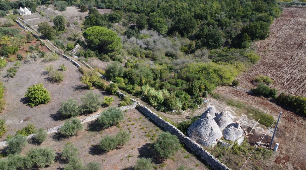 Trullo