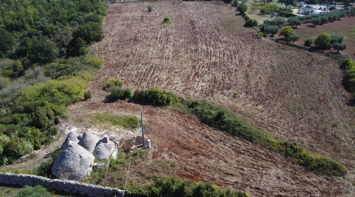 Trullo