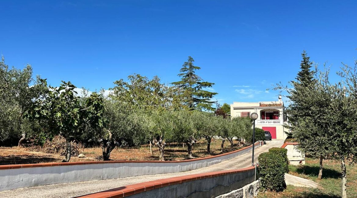 Villa