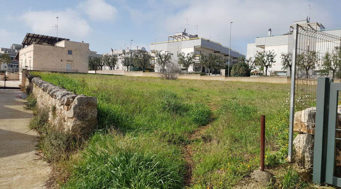 Terreno
