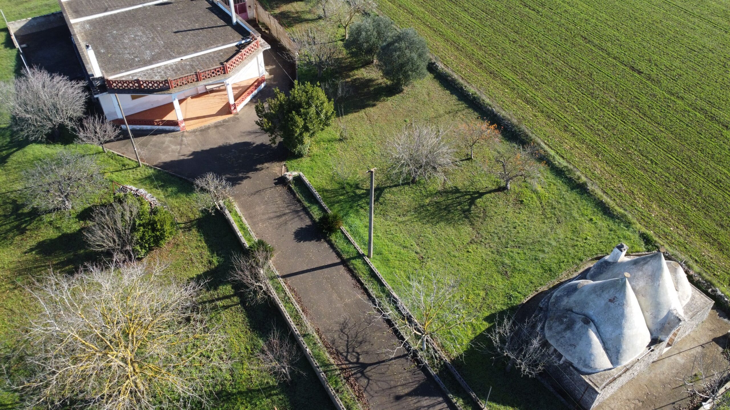 DJI_0078